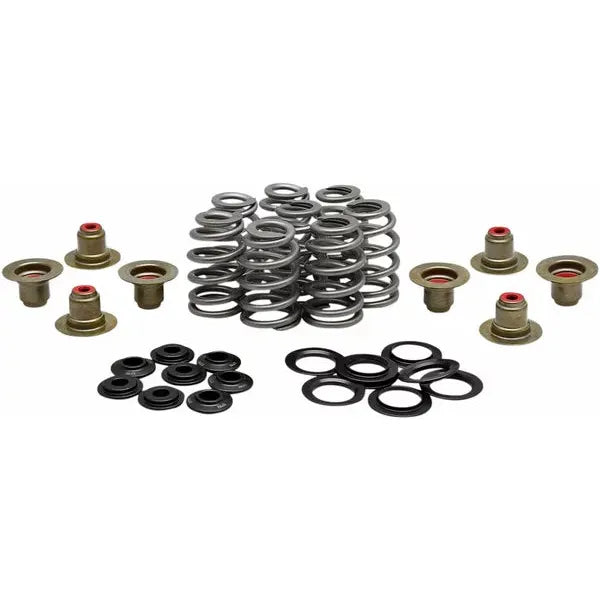 Spring Kit Bhive M8 .625 20-21850