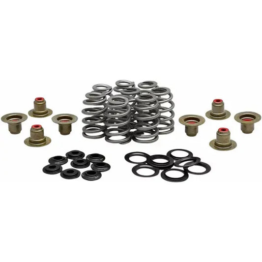 Spring Kit Bhive M8 .625 20-21850