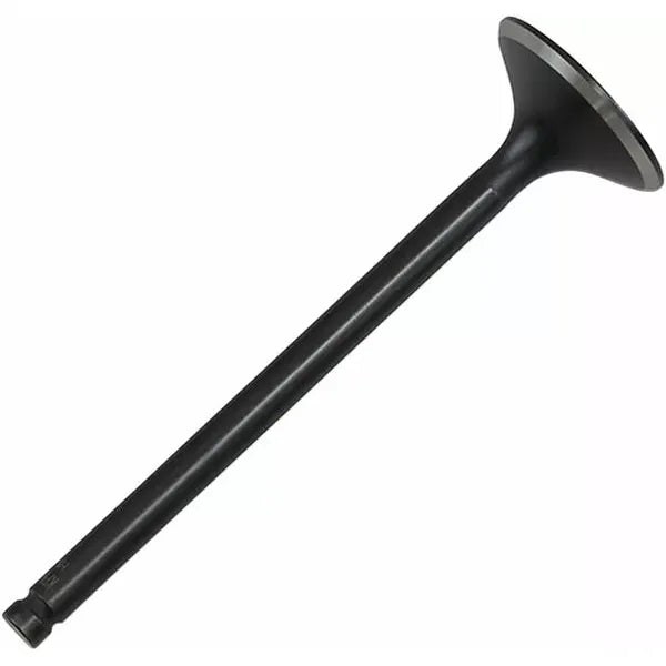 Exhaust Valve Xr500/Xr600 30-3004
