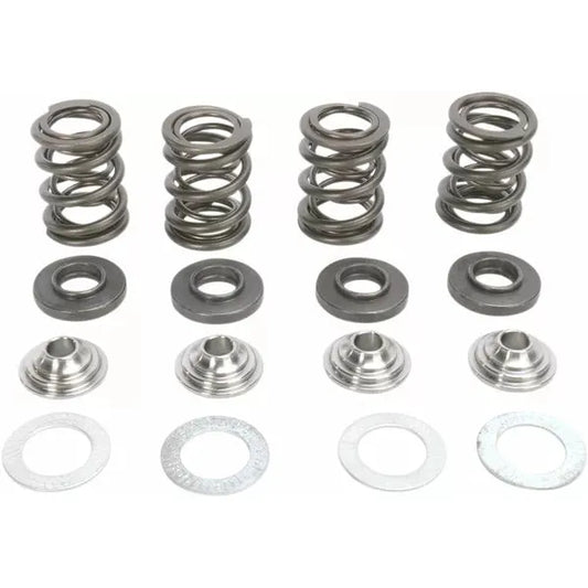 Spring Kit Ktm 450/540 96-96000