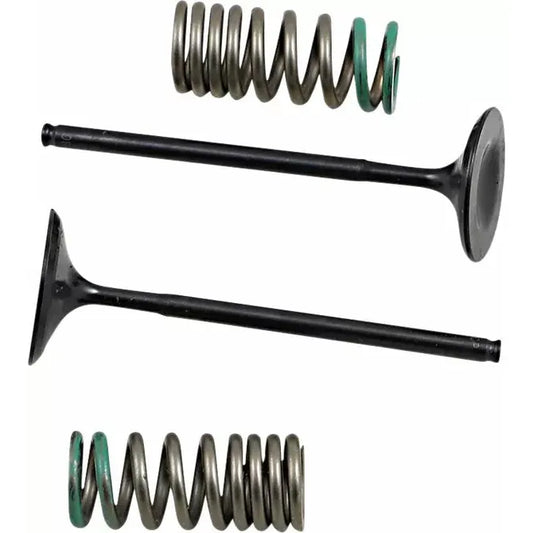 Intake Valve/Spring Kit 28.Sis1340-2