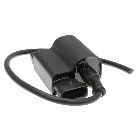 Cdi Unit W/ Ignition Coil 25764