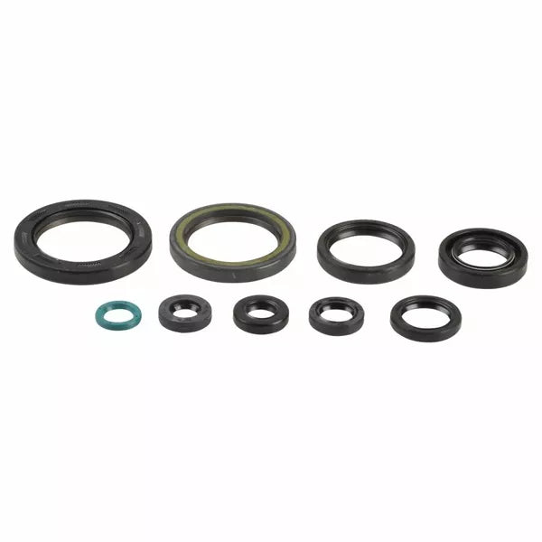 Engine Oil Seals Kit P400210400239