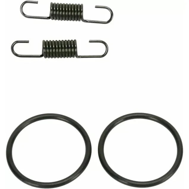 Spring/Oring Kit Kx125 011311
