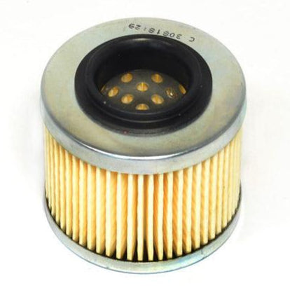 Oil Filter Apr/Bmw/Ktm FFC033