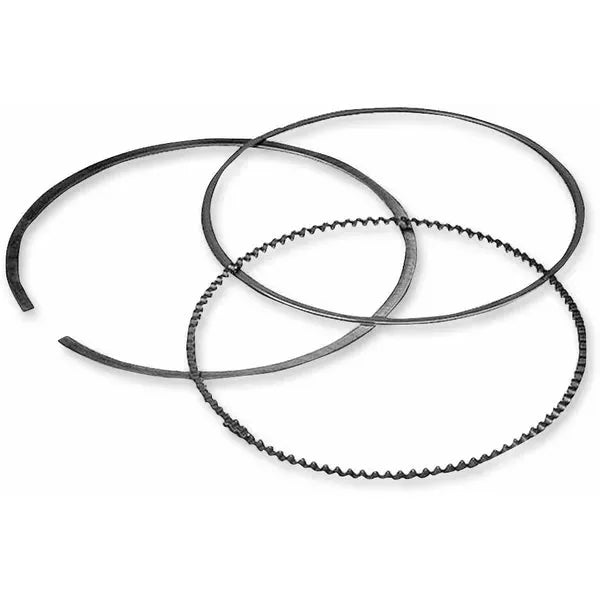 Piston Ring Set S41316130
