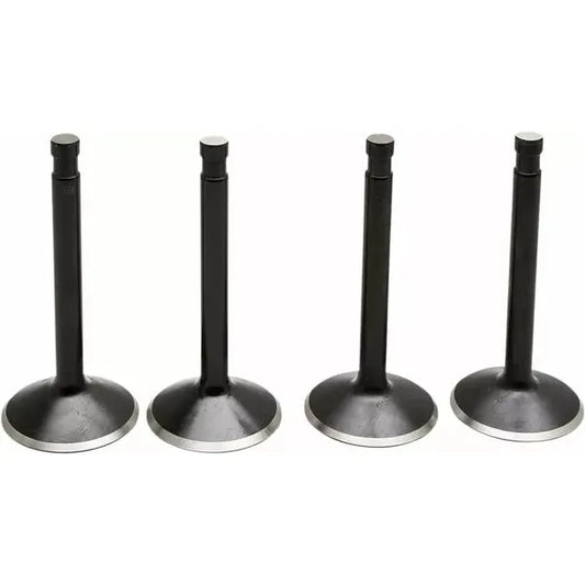 Valve Kit Panhead 20-22100