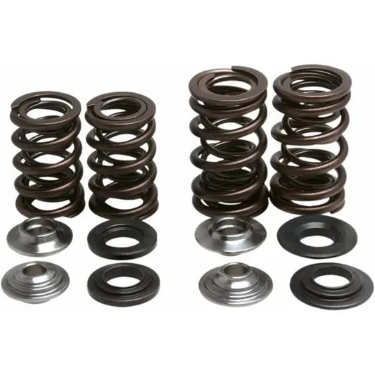 Spring Kit Valve Trx450R 30-30720