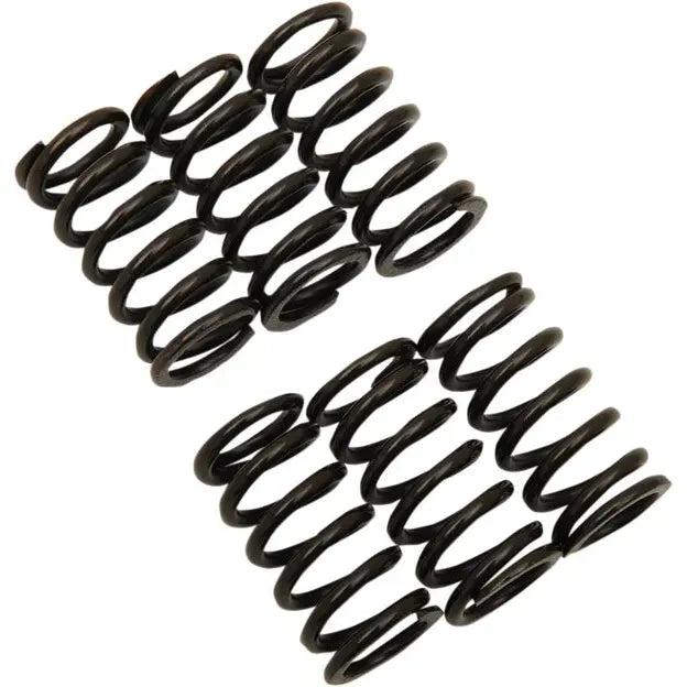 Clutch Spring Kit Suz