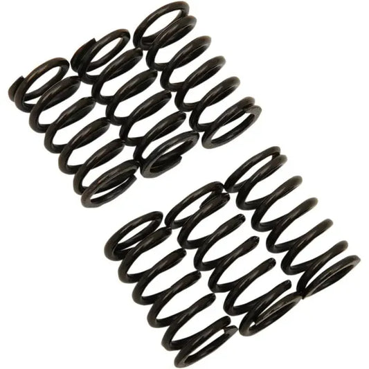 Clutch Spring Kit Suz