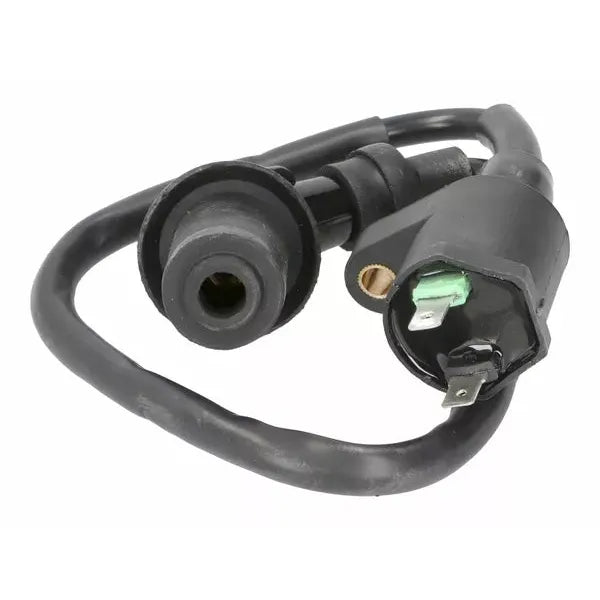 Ignition Coil Bt22001