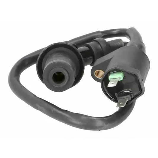 Ignition Coil Bt22001
