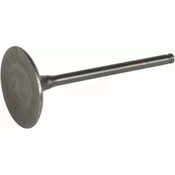 Valve Steel Int Drz400 Wvis009