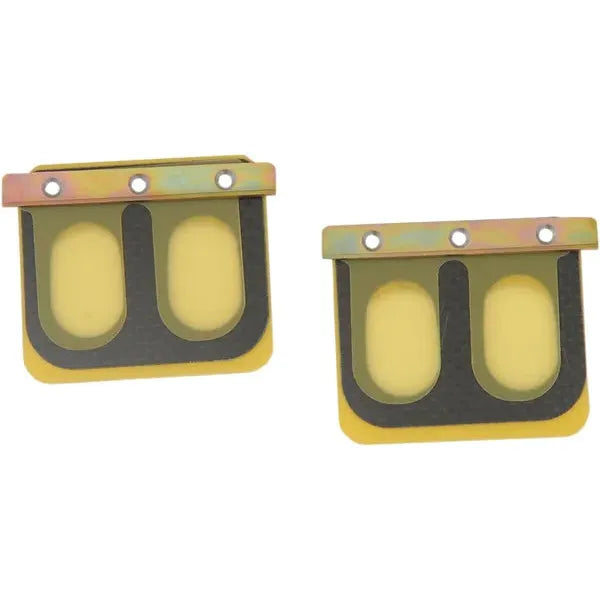 Pro Series Reed Rad41C