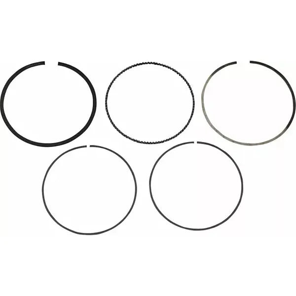 Piston Ring Set S41316027