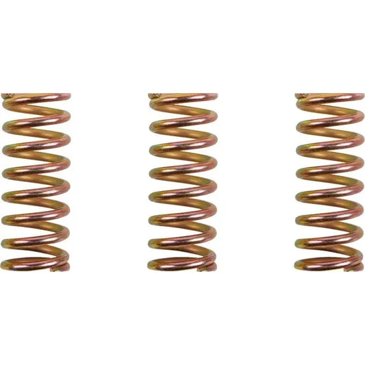 Clutch Spring Kit Ducati