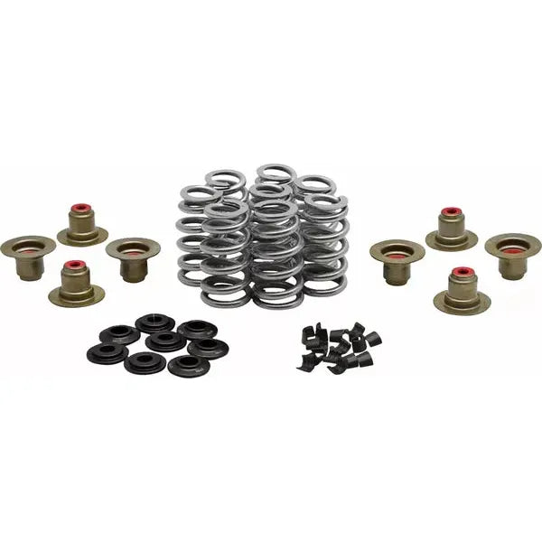 Beehive Valve Spring Kit 0.640" Lift W/"Psi" Springs Ss 20-24400