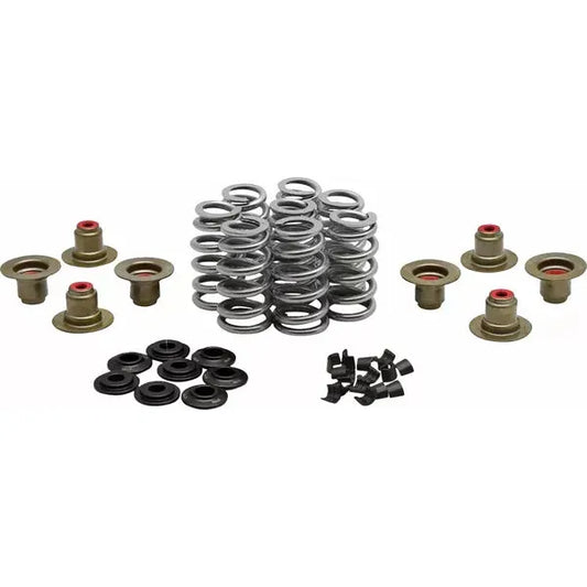 Beehive Valve Spring Kit 0.640" Lift W/"Psi" Springs Ss 20-24400