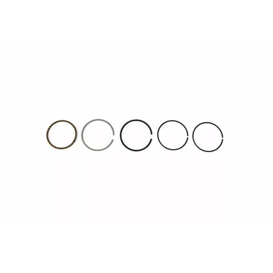 Piston Ring Set Nk100.82