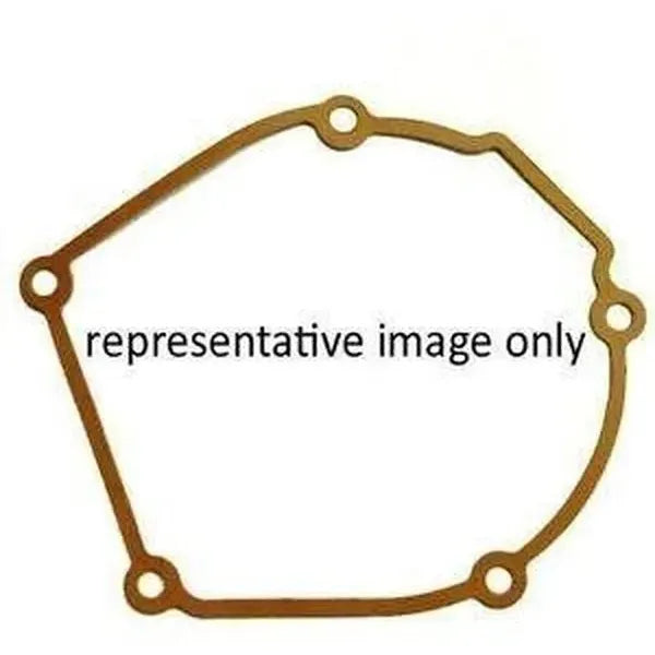 Gasket Replcmnt Ssg-41B