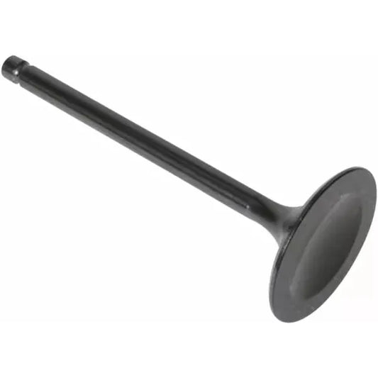 Int Valve Xr400/Trx400Ex 30-3115