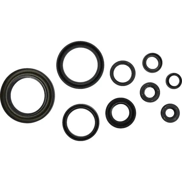 Seal Crankcase Oil Kit Trx450R,Trx450Er