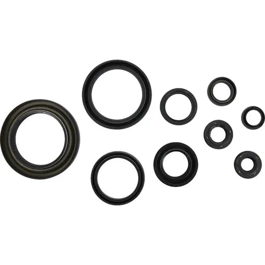 Seal Crankcase Oil Kit Trx450R,Trx450Er