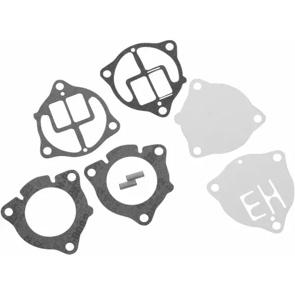 Fuel Pump Repair Kit 451420