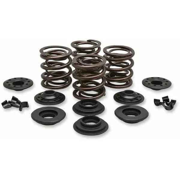 Spring Kit Vlv Oe 36-47Bt 20-20425
