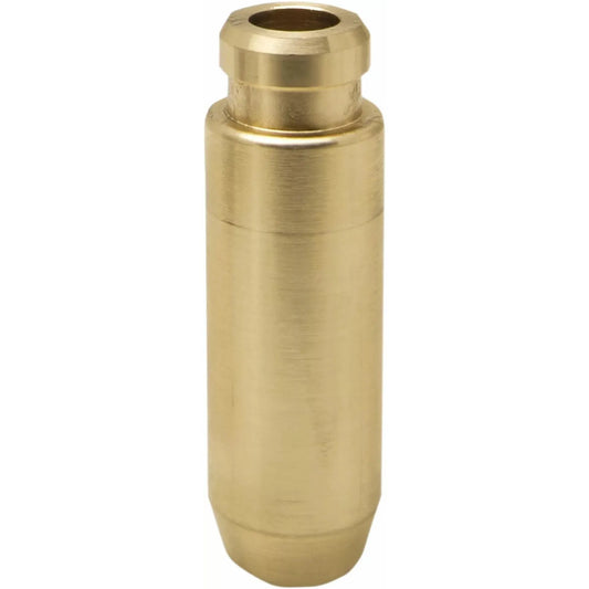 Guide Valve Intake Rzr900 82-82270