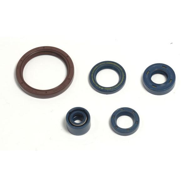 Engine Oil Seals Kit P400220400255