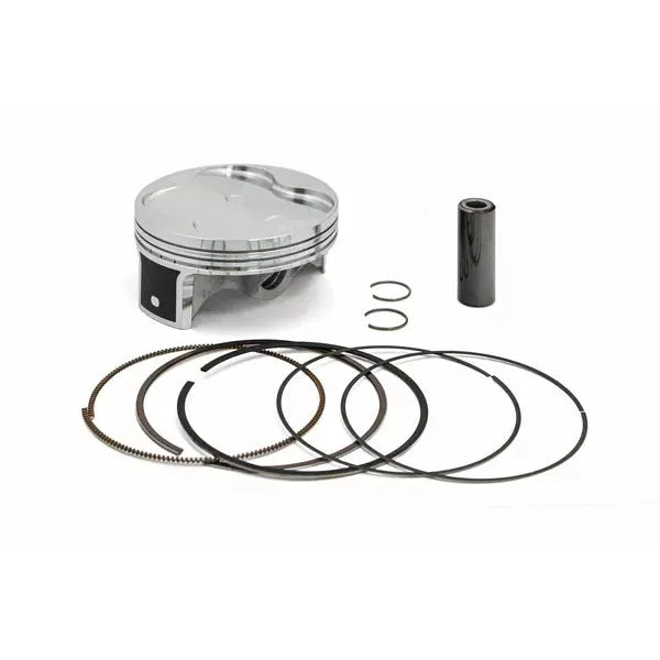 Piston Kit Pro D96.98 24638D