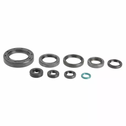 Engine Oil Seals Kit P400210400250