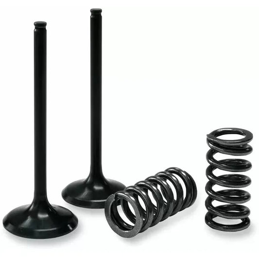 Exhaust Valve/Spring Kit 28.Ses2414-1