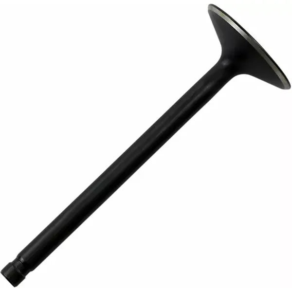 Nitr Int Val 86-03 Xl 883 20-20090