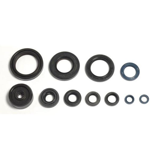 Engine Oil Seals Kit P400485400115/1
