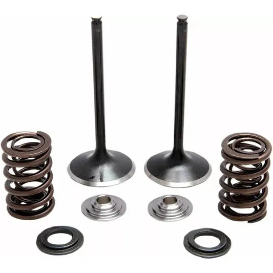 Spring Kt Int Trx450R 04- 30-33200