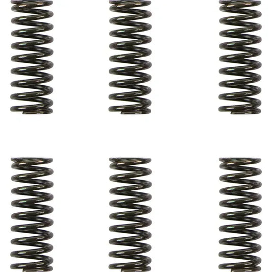 Clutch Spring Kit Ducati