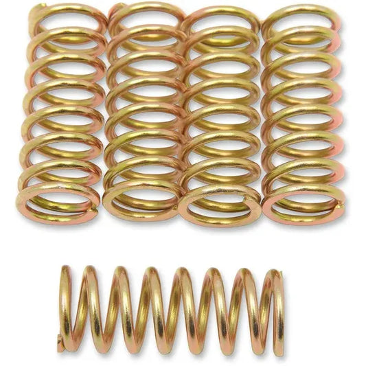 Clutch Spring Set Kawsuz