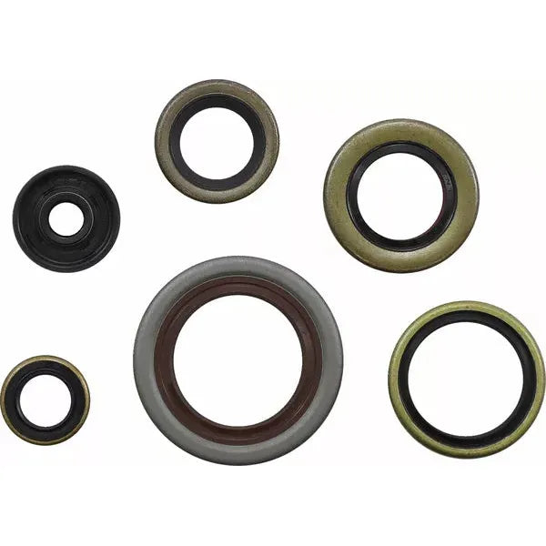 Gasket Kit Oil Seal Ktm 822348Mse