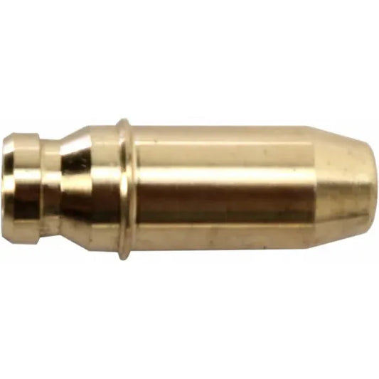 Guide In/Ex Std Rmz450 07 60-60670