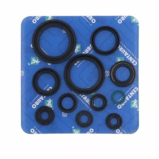 Seal Oil Ho 666A310Sr