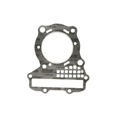 Gasket Cylinderhead Hon S410210001117